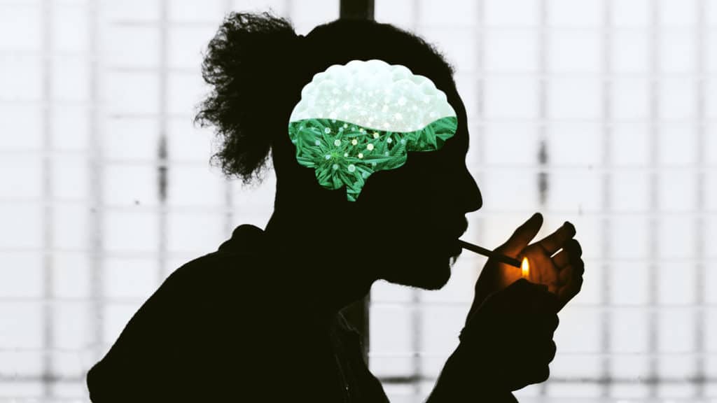 Weed-tolerance-break-guide